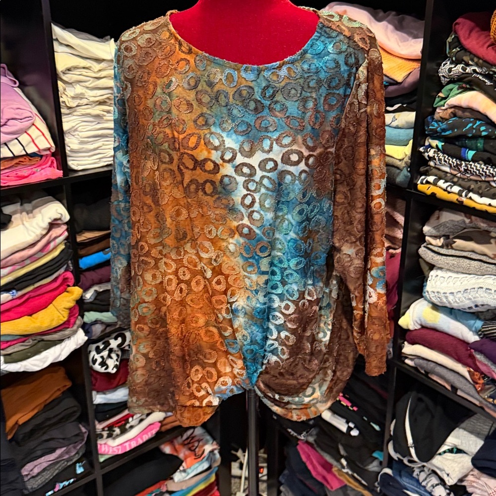 #372. 🪷Ruby Rd. Brown and Blue blouse. 2x